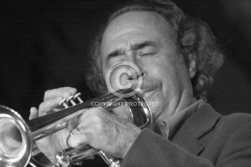 AMBROSETTI FRANCO 2011