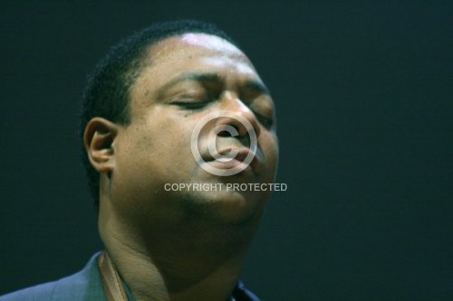 HERRING VINCENT 2008