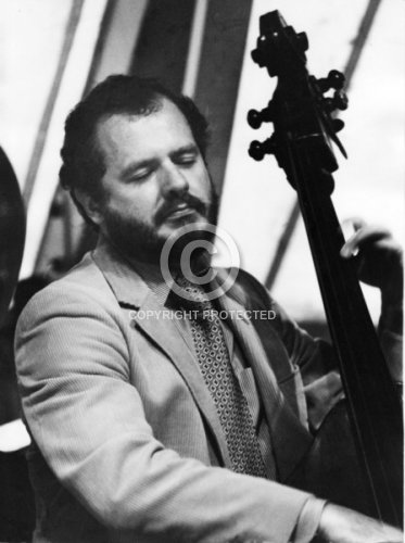 PEDERSEN NIELS OERSTED 1993