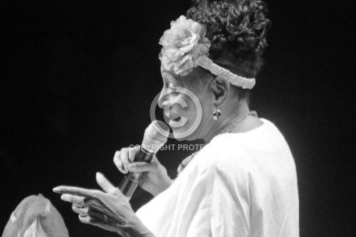 PORTUONDO OMARA 2011