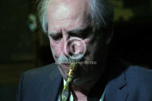 POVEL FERDINAND 2011