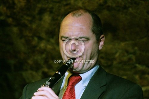 PLATTNER CHRISTIAN 2010