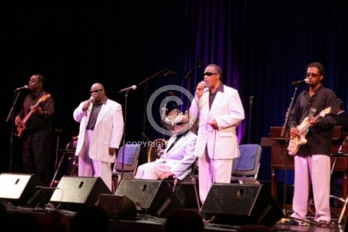 BLIND BOY OF ALABAMA 2009