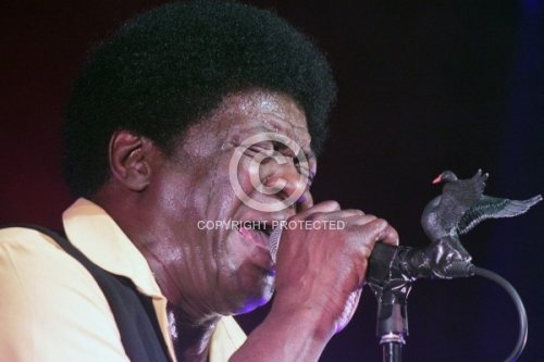 BRADLEY CHARLES 2012