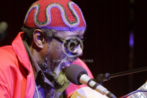 ULMER JAMES BLOOD 2012