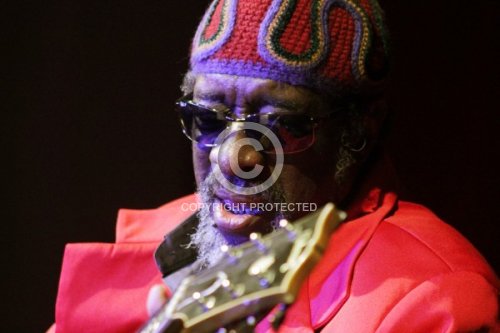 ULMER JAMES BLOOD 2012