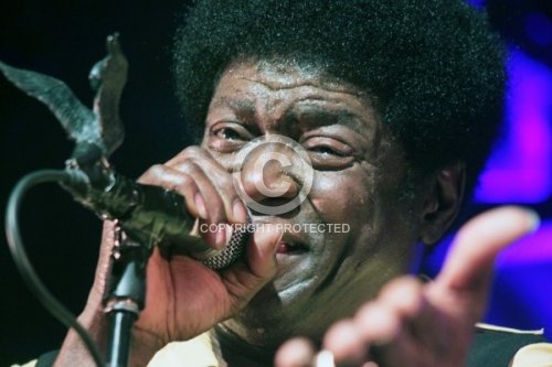 BRADLEY CHARLES 2012