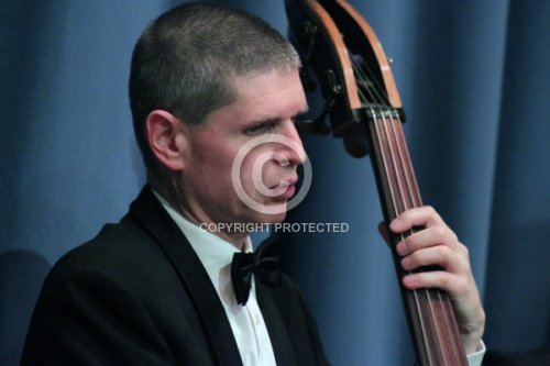 WALLISCH WOLFGANG 2011