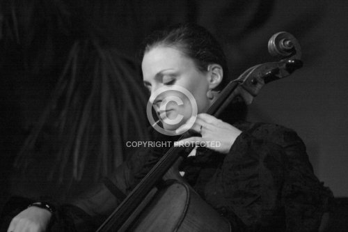 CARRINGTON REBECCA 2010