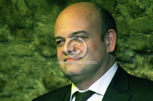 BREINSCHMID MARTIN  2013