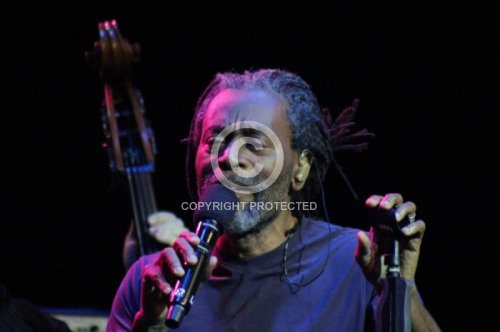 McFERRIN BOBBY  2013