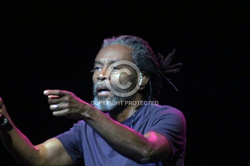 McFERRIN BOBBY  2013