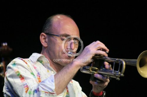 HOLZHACKER MANFRED  2013