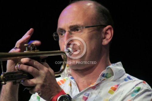 HOLZHACKER MANFRED  2013