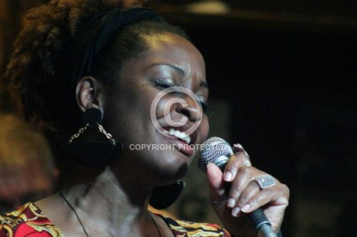 WILLIAMS A. LORI  2013