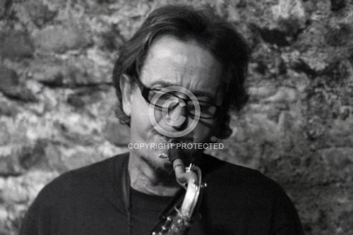 DICKBAUER KLAUS 2010