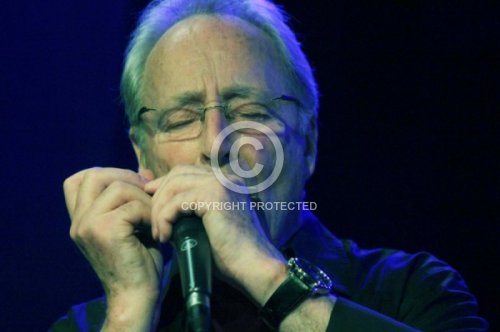 OESTERREICHER RICHARD  2013