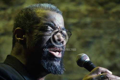 MAHOGANY KEVIN  2013