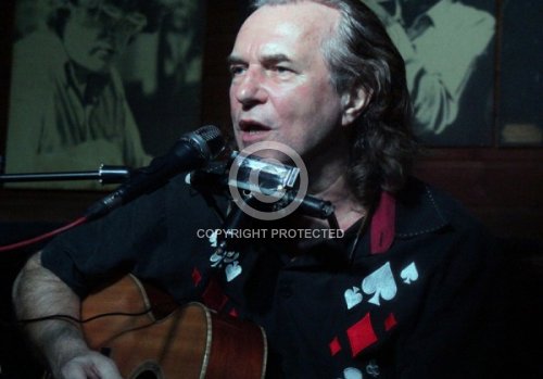 THEESSINK HANS  2013