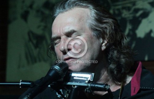 THEESSINK HANS  2013