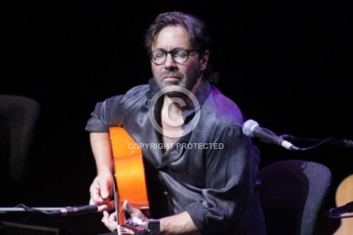 DiMEOLA AL 2011