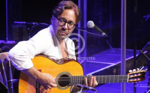 DiMEOLA AL 2014