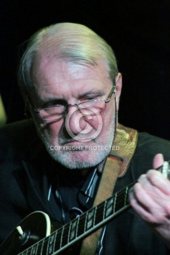 BIENERT GERD WOODY 2012