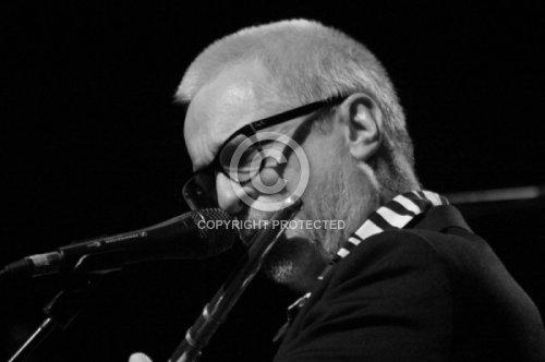 PUSCHNIG WOLFGANG 2015