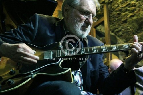 BIENERT GERD WOODY 2015