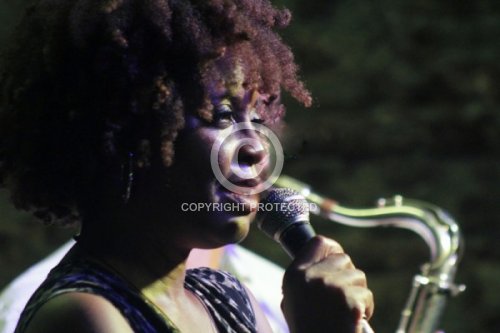 WILLIAMS LORI A. 2015