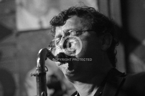 GRADISCHNIG HERWIG 2015