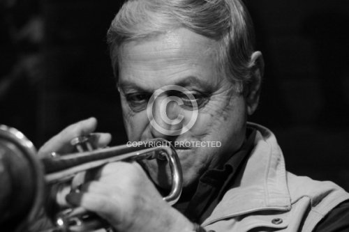 GOYKOVICH DUSKO 2012