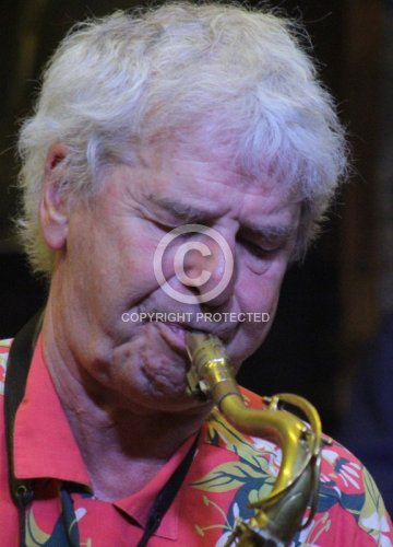 SCHULTZ COULON WOLFGANG 2016