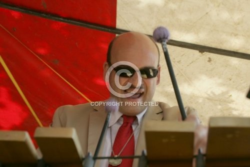 BREINSCHMID MARTIN 2009