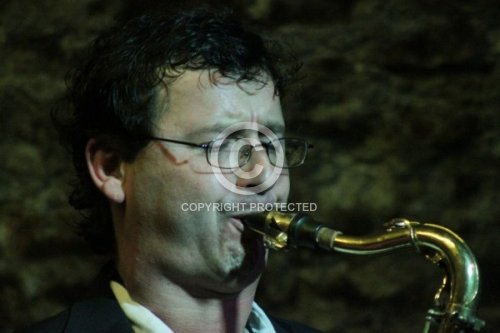 GRADISCHNIG HERWIG 2011