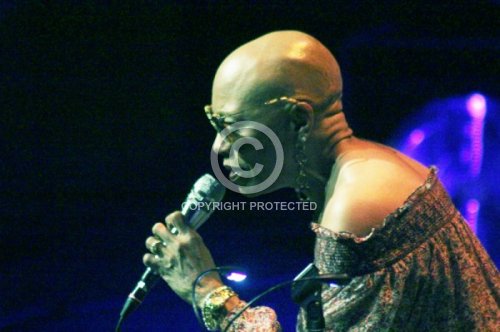 BRIDGEWATER DEE DEE 2017