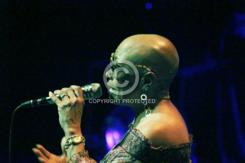 BRIDGEWATER DEE DEE 2017