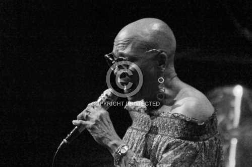 BRIDGEWATER DEE DEE 2017