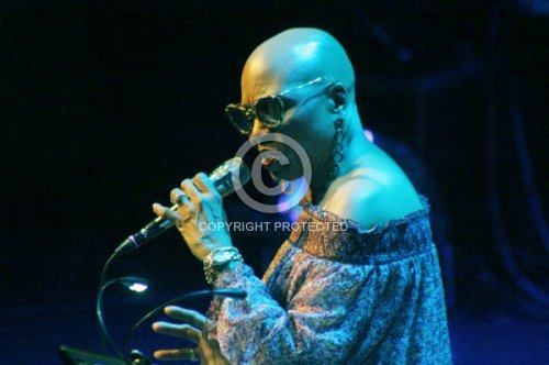 BRIDGEWATER DEE DEE 2017