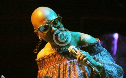 BRIDGEWATER DEE DEE 2017