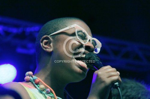 SALVANT CECILE McLORIN 2017
