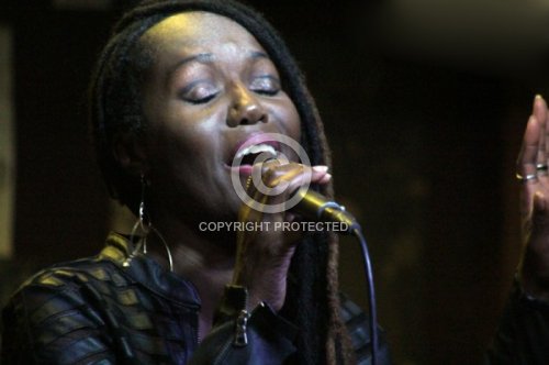 MARTELLS AUDREY 2017