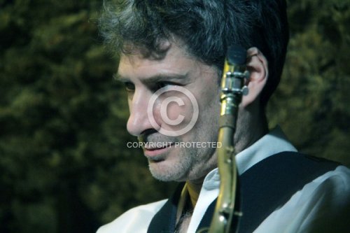 MARSALL DAVID LASZLO 2019