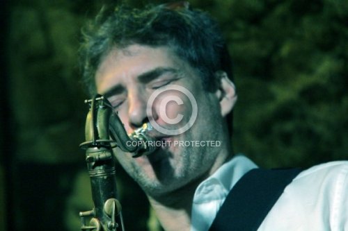 MARSALL DAVID LASZLO 2019