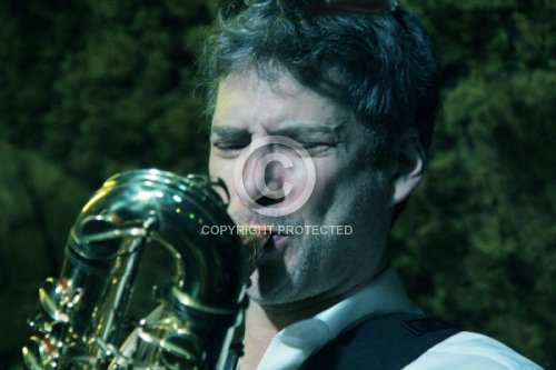 MARSALL DAVID LASZLO 2019