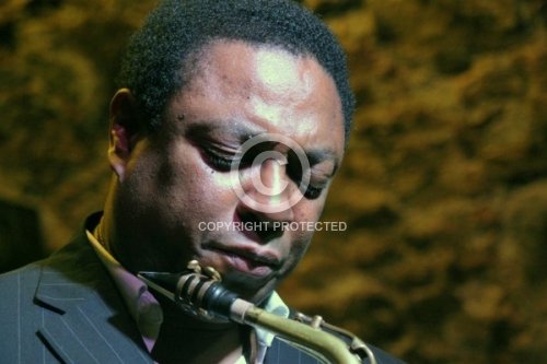 HERRING VINCENT 2011