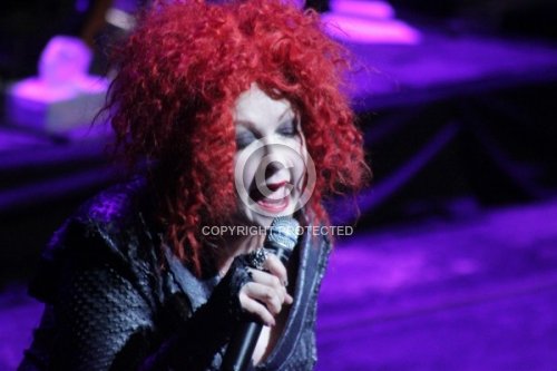 LAUPER CYNDI 2011